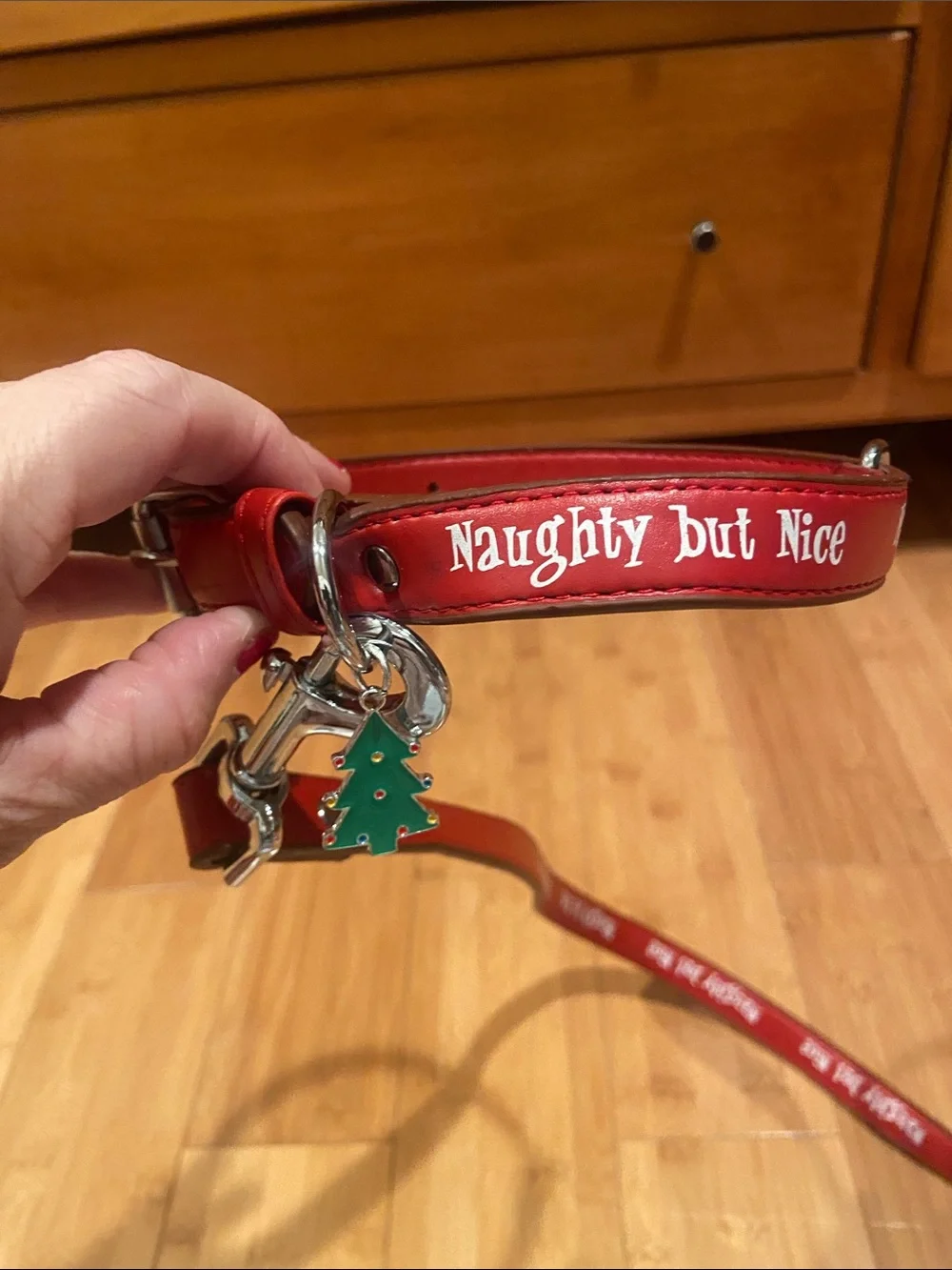 Small Dog Collar